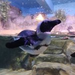 평가해주면 대학합격&amp;<b>존예여신</b>