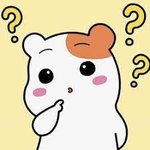 나는 남자들은 다 슴가 큰 여자들 좋아할 줄 알았는데