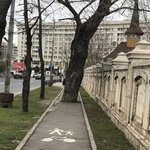 [19] I <b>am</b> 신뢰에요