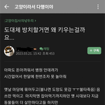 [댓글부탁해] 방탈ㅈㅅ) 동물학대 의심되는데 좀봐주세요