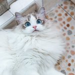 [ㅈㄱㄴ] 나 하반신쪽 수술했는데 가장 힘든게