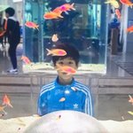 <b>이한이</b> 물고기 좋아하는거