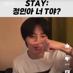 [스키즈] 스테이