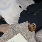 윈터 또 <b>폴로</b> 선물 받았나봄