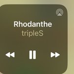 노래 자동<b>재생</b>됐는데