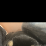 새벽판 하는 애들한테만 <b>귀여웅</b> 거 보야줄게