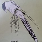 인생 ㅈㄴ 지겹다