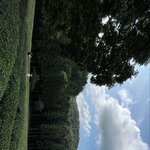 면접하는 고사미