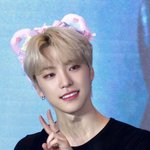 <b>디노</b> 탈색이랑 흑발