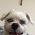 우리집<b>막내</b>