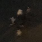 밤늦은 시간 청소년들이 무리지어 아파트 문쾅<b>테러</b>하고 다니네요
