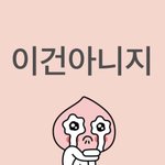 내 꿈 최애랑 같은 대학 가서