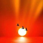 시인 김남열 / <b>생성</b>과 소멸