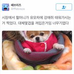 요즘 유튜브 댓글 드럽노