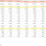 한국여자에 자칭 인기있다는 중국남자 현실