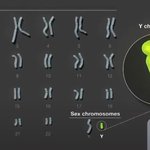 1번~22번까지 xy랑 무슨 <b>연관</b>이 있는거임??