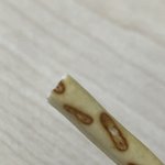 [댓글부탁해] 빼빼로 밑에 과자<b>부분</b> 더 좋아하는사람ㄹㅇ없음?
