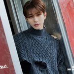 11월 컴백 아이돌 왤케 많냐