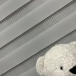우리집<b>인형</b>