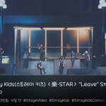 [스키즈] 스테이 그래도