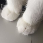 [드루와] 잠깨는데 <b>직</b><b>빵</b>인 음료 뭐임?