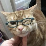 이거 <b>유혹</b>으로 받아들이면 돼?