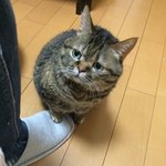 언니 방에서 운다