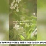 엔하이픈 노래 <b>미리</b> 들은 분 반응이래