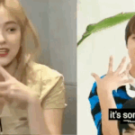 ㅇㅂ떨더니 해찬 ㄹㅈ이 짤 찾았노