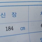 [19] 판남 <b>신체스펙</b> 평가해줘...jpg