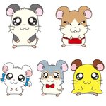 [<b>TXT</b>] 투모로우바이햄토리