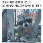 [19] 19남 잘생긴편 심심한사람만 <b>얼</b><b>평</b> 눈<b>평</b>