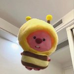 [모두드루와] 좀 재밌는 남돌 팬덤 있음?