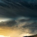 시인 김남열 / <b>무모</b>한 직진