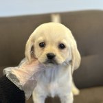 매장 <b>사정</b>