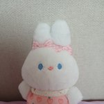 <b>울애기</b> 자랑함ㅎㅎ
