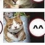 [댓글부탁해] 교정해<b>본판</b>녀들와봐!!!!!