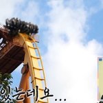 안<b>전바</b> 대신 머리 잡고 놀이기구 탄 사연