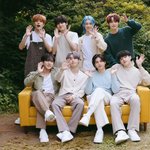 [스키즈] [ㄴㅅㅍ]SKZ's little forest