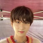 엔하이픈 정원 확신의 고양이<b>상임</b>