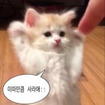 [댓글부탁해] 너네 소소한 <b>장점</b> 뭐있음??