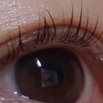 ++안보인대서체크했어요+혐주의+하루아침에 눈썹이랑속눈썹에흰털이생겼어요