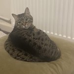 안아 주고 싶은 키키