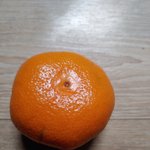 귤이 참 신기하네요.. 어케 저렇게 만들어졌을까요?