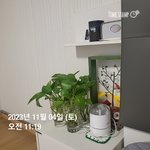 <b>소개</b>할 것이 없어