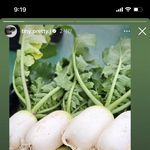 [댓글부탁해] 전소연 김장무 농사 귀농<b>zip</b>_2