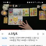 타로가 마음의 <b>위안</b>이 된다