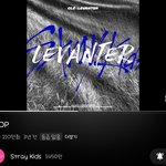 [스키즈] 아니아니 스테이