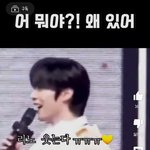 [스키즈] 왜여깄어?