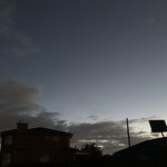 [방탄소년단] 나 발매날 알차게 보낸거 볼래?